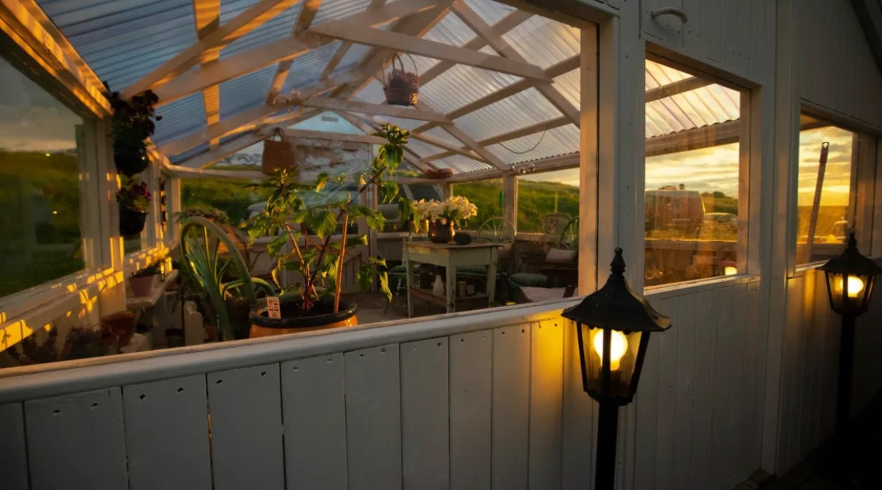 (Uppselt) Nærandi - Græðandi og Fræðandi dagar að Selá Eyjafirði 29. júlí til 3. ágúst