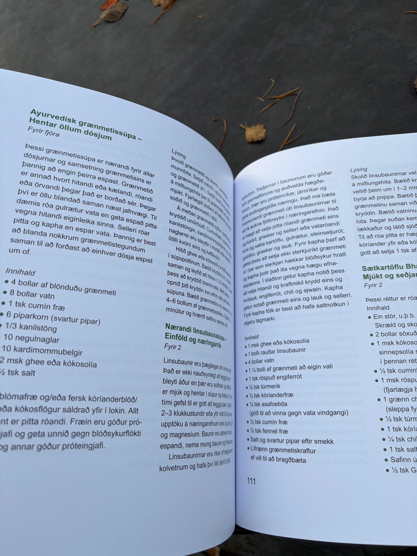 AYURVEDA – Listin að halda jafnvægi í óstöðugri veröld. Leiðarvísir um indversku lífsvísindin.