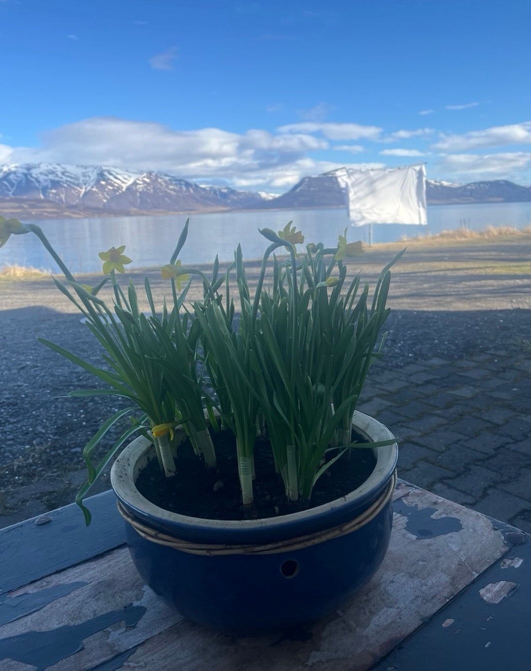 (Uppselt) Nærandi - Græðandi og Fræðandi dagar að Selá Eyjafirði 29. júlí til 3. ágúst