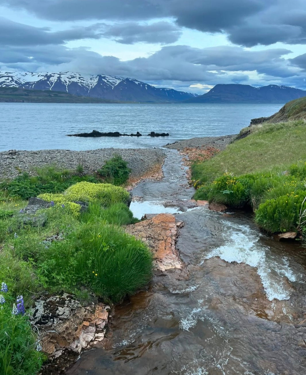 (Uppselt) Nærandi - Græðandi og Fræðandi dagar að Selá Eyjafirði 29. júlí til 3. ágúst
