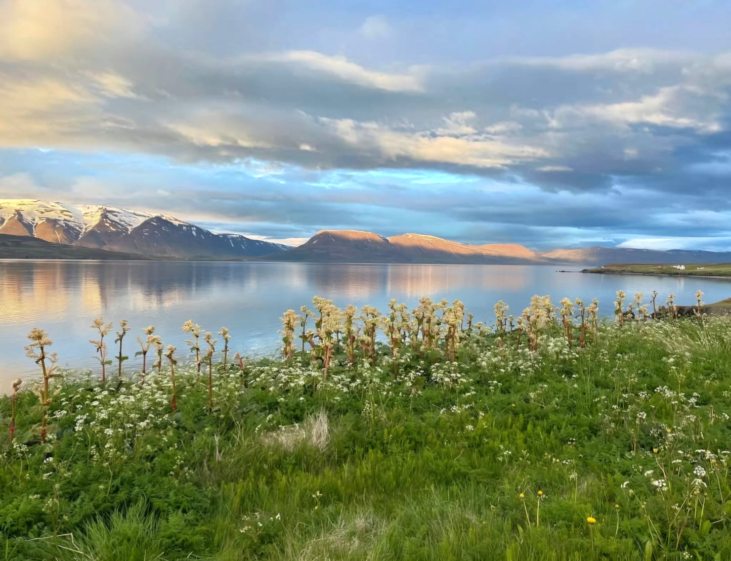 (Uppselt) Nærandi - Græðandi og Fræðandi dagar að Selá Eyjafirði 29. júlí til 3. ágúst
