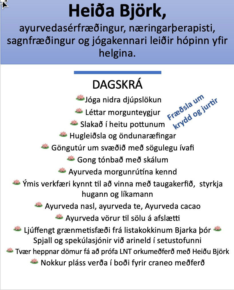 🪷 ⭐️ 🍃 Ayurveda DEKURHELGI FYRIR DÖMUR - Skálholti - 30. okt - 1. nóv 🪷 ⭐️ 🍃