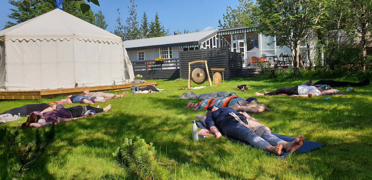 🌿🌸💦 Ayurveda SVEITA-GUSA OG SLÖKUN fyrir dömur 22. júlí 2026 (Hámark 8) 🩱👙