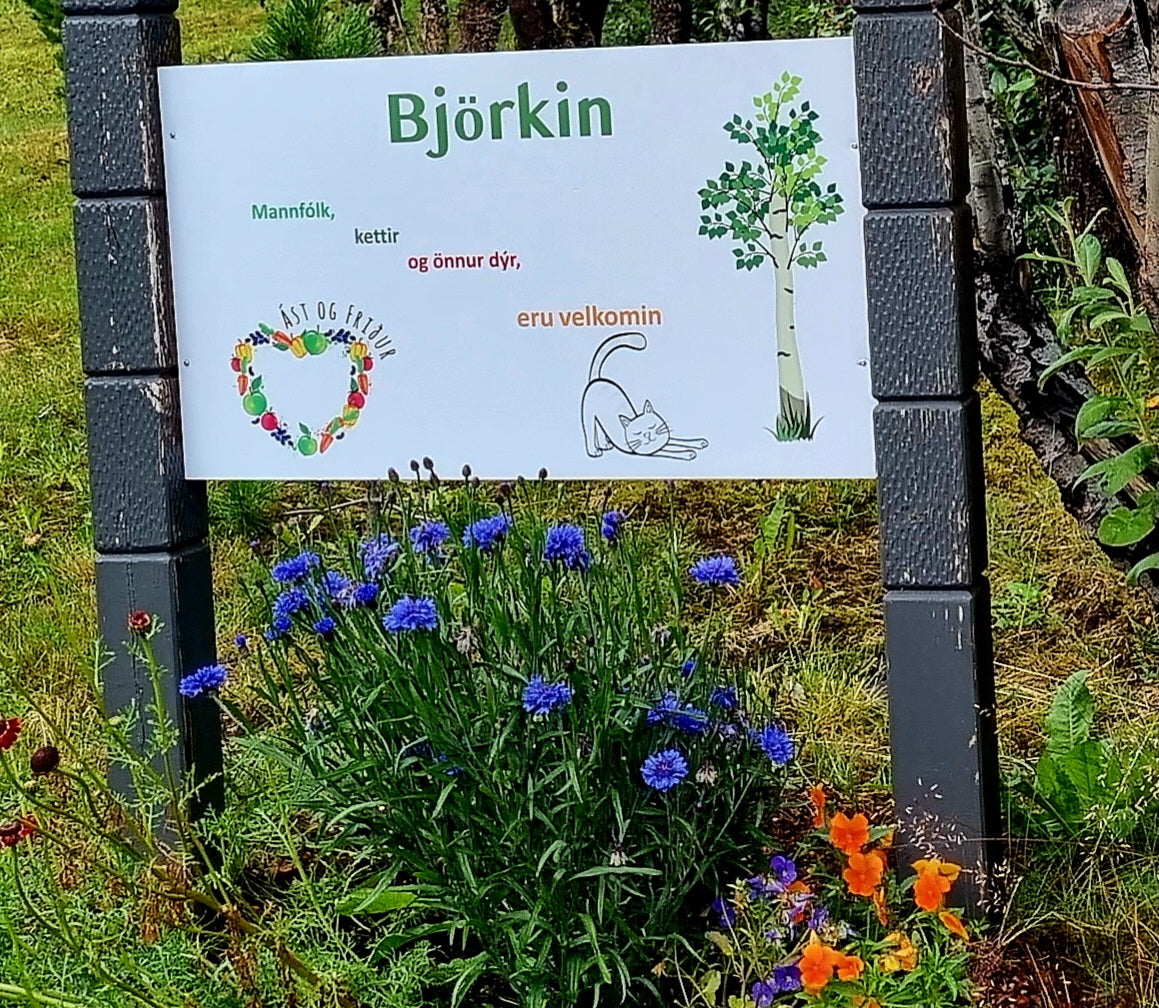 🌿🌸💦 Ayurveda SVEITA-GUSA OG SLÖKUN fyrir dömur 22. júlí 2026 (Hámark 8) 🩱👙