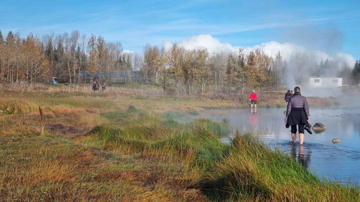 AyurvedaVORhreinsun að Laugarási 16-19. apríl - dekur og dúll