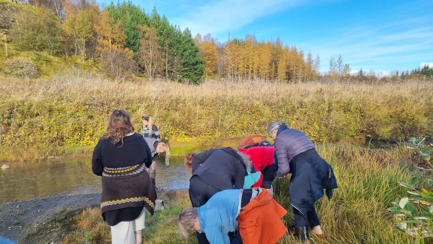 AyurvedaVORhreinsun að Laugarási 16-19. apríl - dekur og dúll
