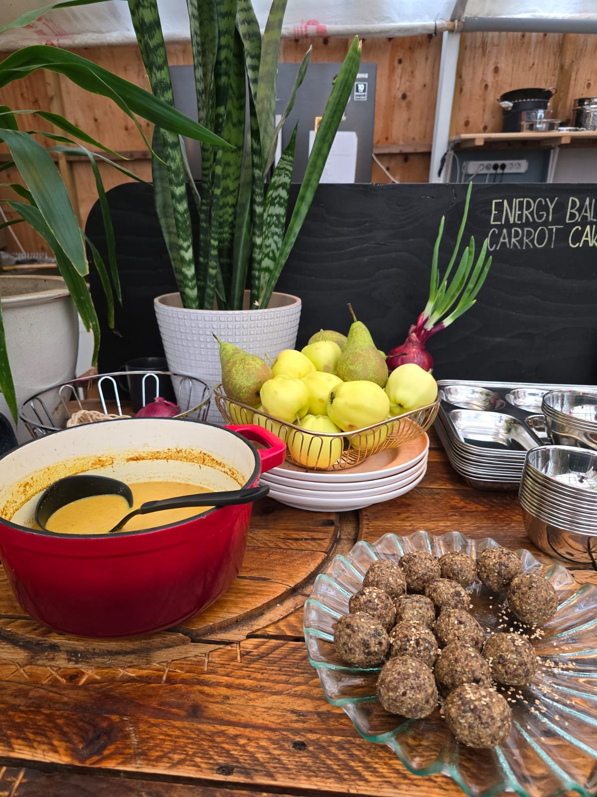 AyurvedaVORhreinsun að Laugarási 16-19. apríl - dekur og dúll