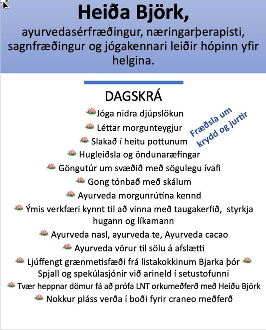 🪷 ⭐️ 🍃 Ayurveda DEKURHELGI FYRIR DÖMUR - Skálholti - 30. okt - 1. nóv 🪷 ⭐️ 🍃